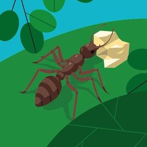 Meet your Posher, Brennan